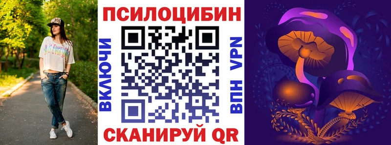 Галлюциногенные грибы GOLDEN TEACHER hydra tor Камешково